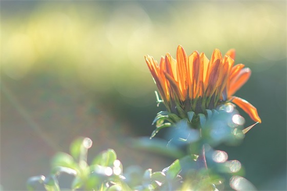 令人充斥着正能量的句子(充满工作正能量的句子)