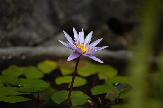 描述时间过得真快的句子