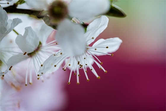 描写自己难过心情的句子(表达自己伤心难过的话)