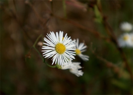生活其实很简单的句子