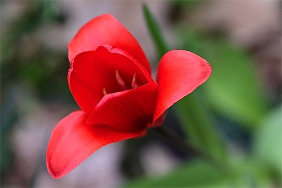 关于人生感慨的句子 人生感慨的句子简短励志