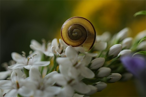 快手句子上热门伤感 快手上最火的爱情句子