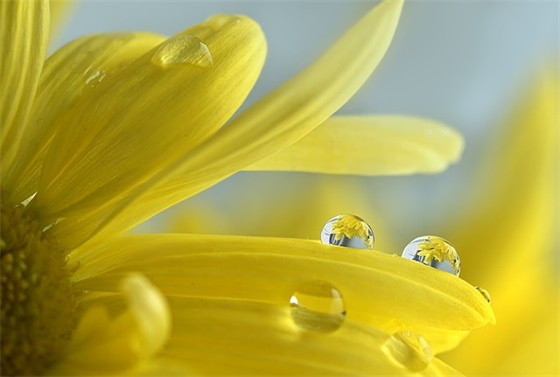 赞美视频做得好的句子 夸奖视频拍得好的句子