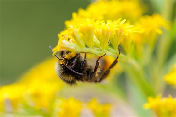 最新爆笑幽默话语 关于幽默霸气有气质的句子