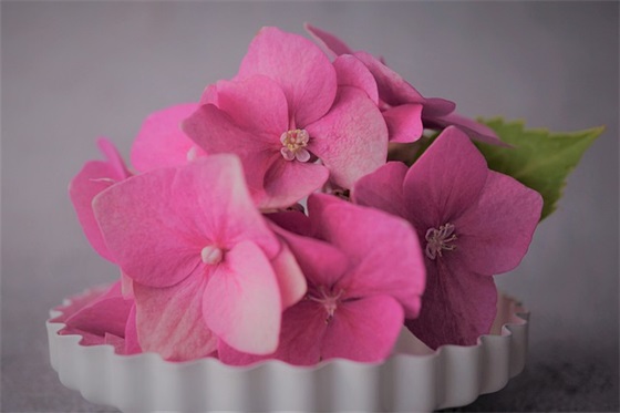 表达两人永不分离的句子