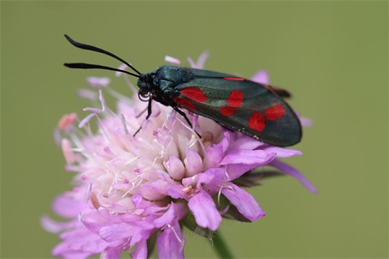 文明句子大全集 文明的句子优美段落