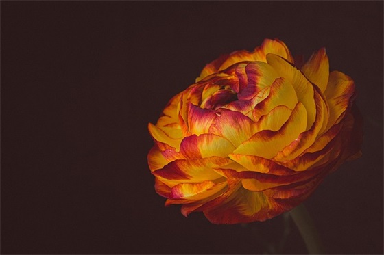 抖音短视频挺火生日寄语 抖音最火生日句子