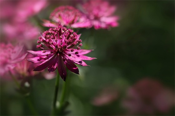 感悟他人正能量短句 正能量激励人的好句子