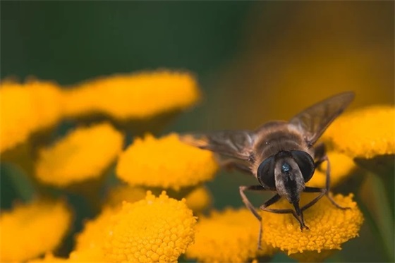亲人去世劝人想开的话暖心句子