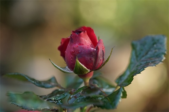 最新非主流的句子