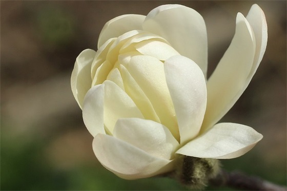 人生短短一辈子精辟句子