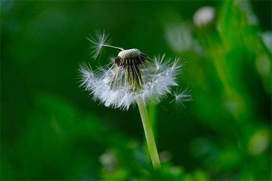 有关伤感的句子 有关伤感的优美句子