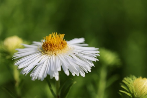 小年快乐简短祝福语