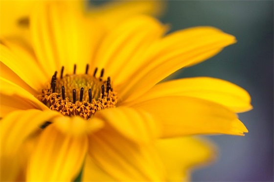 中秋节的问候祝福语