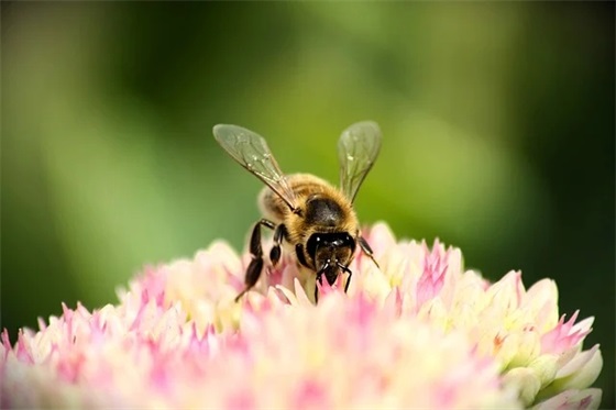 建军节祝福语81句