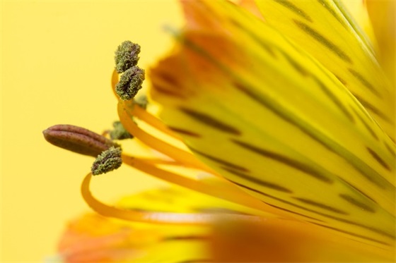 教师节祝福语简单80句