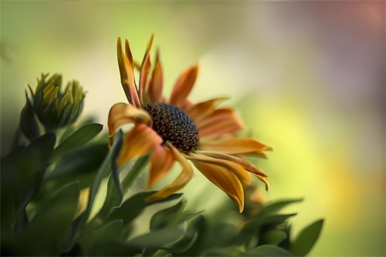 2026年端午祝福语84句