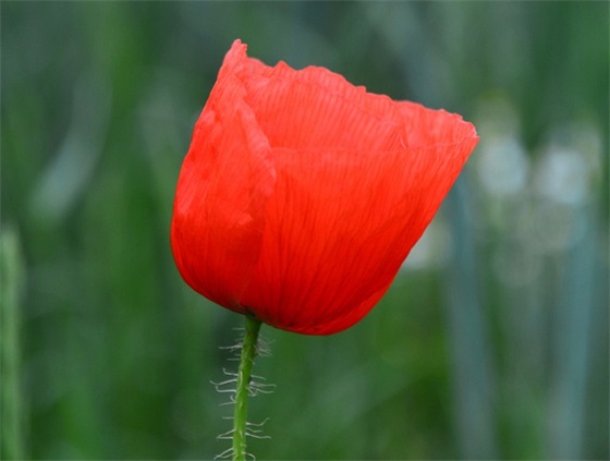 关于添丁添子的祝福语 【添丁用什么祝福什么词语】