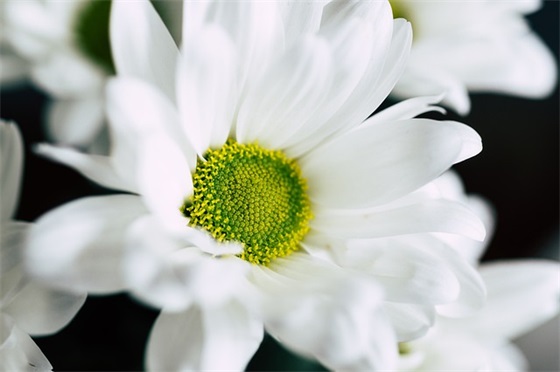 适合刚出生婴儿祝福语 【婴儿祝福语男宝宝】