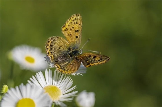 对退休同事的祝福语-83句