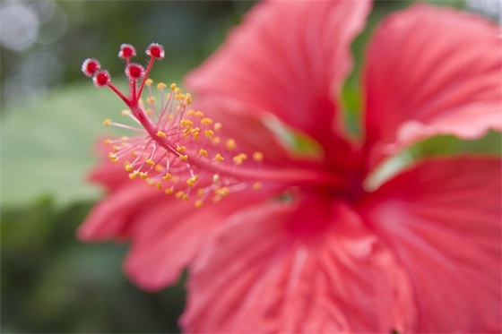 中考祝福语字 中考祝福语霸气简短(精选80句)