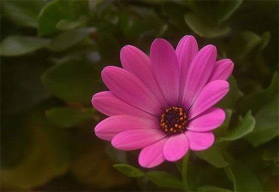 祝朋友高考顺利的祝福语 祝朋友儿子高考顺利祝福语