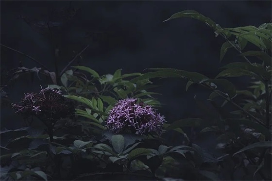 给炒股人的生日祝福语 【给炒股人的生日蛋糕祝福语】