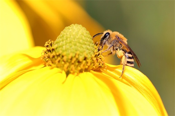 霸气的结婚祝福语 【有气势的结婚祝福语】
