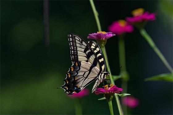 2026高考祝福语简短独特推荐(精选121句)