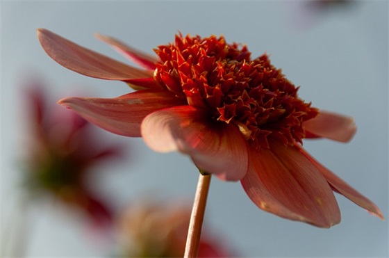 健康祝福语大全-84句