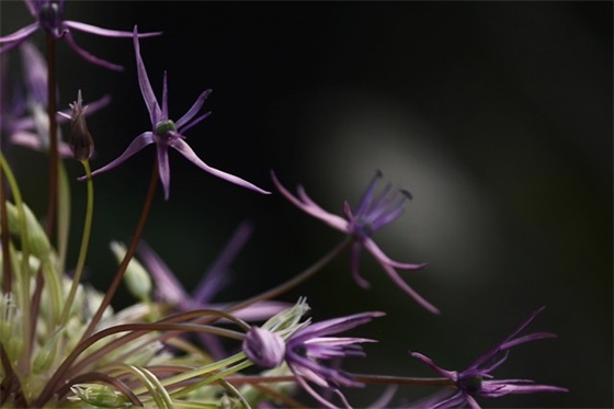 艾灸祝福语 【冬至艾灸的祝福语】