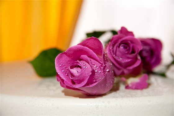 祝福一到十顺口溜 祝福词语的顺口溜一到十