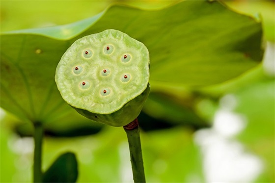 胖子的幽默句子