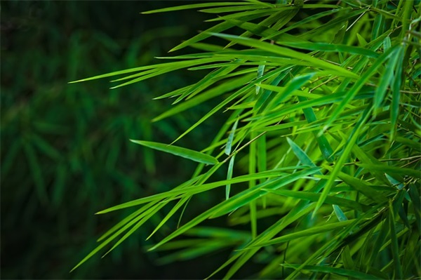 对人很失望的句子大全