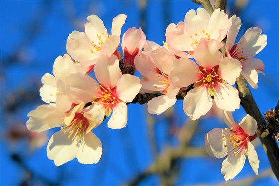关于最新教师节感人寄语 教师节对自己的个人寄语(精选82句)