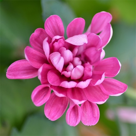 烈士纪念日哀悼英雄句子(精选33句)