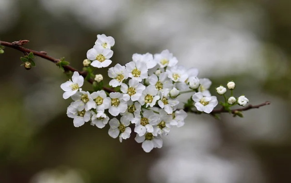 鼓励的文案句子