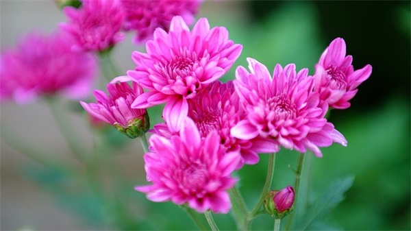 表白祖国文案（精选150句）