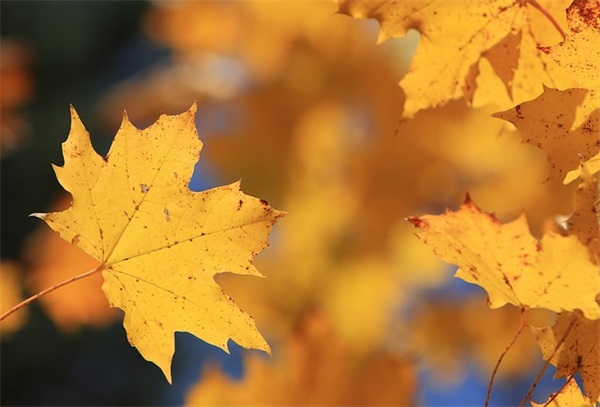 三年级班主任班级工作总结