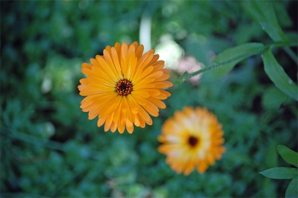 校园春季运动会新闻稿（精选16篇）