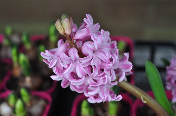 结对帮扶年度工作总结范文（通用7篇）