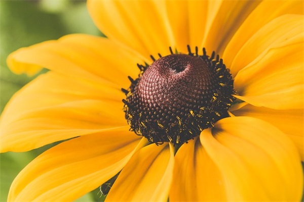 个人能力自我介绍（精选21篇）