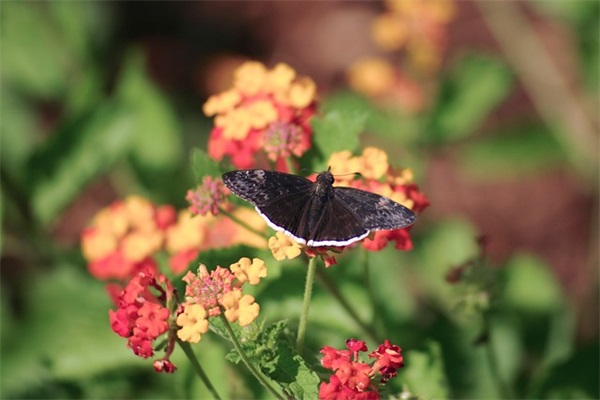 讲座新闻稿范文（精选19篇）
