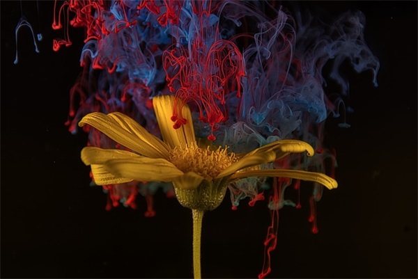 让人笑喷的搞笑的说说190句