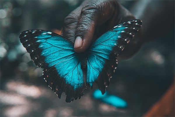 施工合同补充协议（通用18篇）