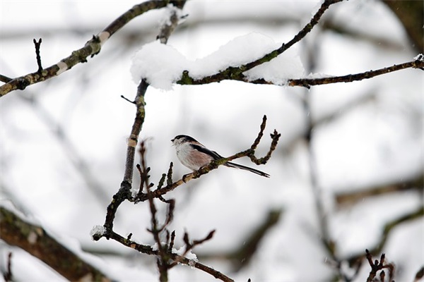 表态发言稿（精选10篇）