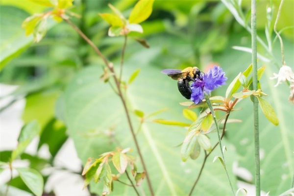 乒乓球比赛规则参考