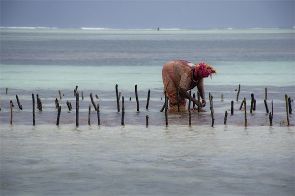 爱心捐心得（通用13篇）