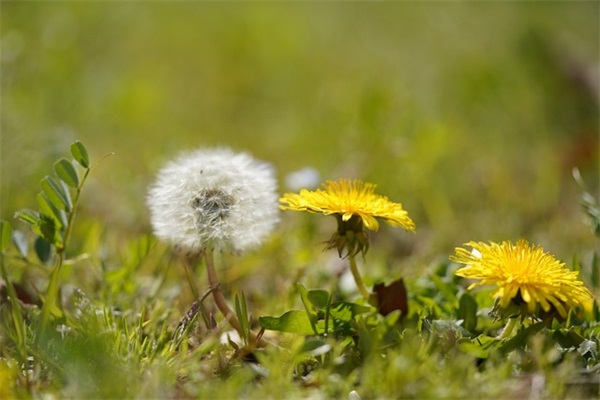 关于个人承诺书范文（通用15篇）