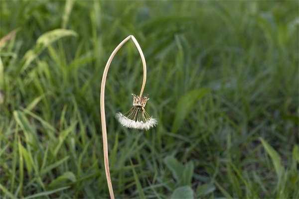 十月一国庆节祝福祖国的话语文艺